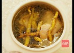 石斛虫草花鸡汤的做法图解4