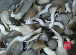 平菇肉片汤的做法图解2