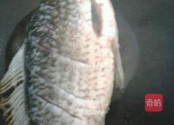 鲫鱼冻豆腐汤的做法图解4