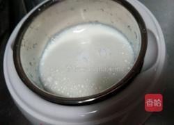 自制大果粒酸奶的做法图解2