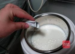 自制大果粒酸奶的做法图解3