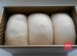 玉米油山峰土司的做法图解8