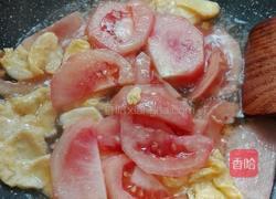 胡萝卜番茄炒鸡蛋的做法图解8