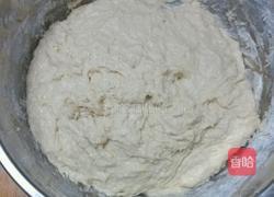 白菜肉包子的做法图解3