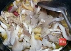 平菇煮鸡汤的做法图解7