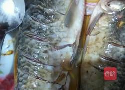 香煎鲫鱼的做法图解1