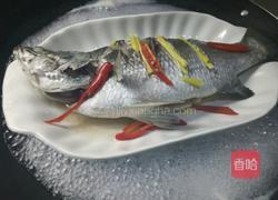 清蒸盲曹鱼的做法图解3
