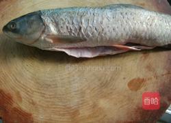 自制鱼丸的做法图解1