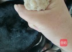 自制鱼丸的做法图解8