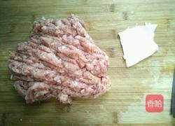 木耳鲜肉馅馄饨的做法图解3