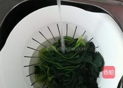 凉拌菠菜的做法图解3