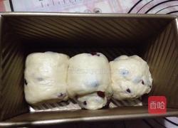 蔓越莓吐司的做法图解5