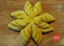 蝴蝶飞飞的做法图解21