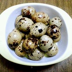 五香鹌鹑蛋的做法[图]