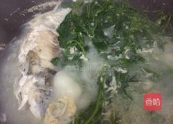 野葛菜鲫鱼汤的做法图解5