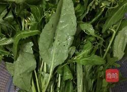 野葛菜鲫鱼汤的做法图解2