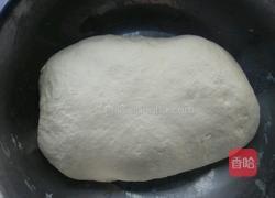 白菜水饺的做法图解4