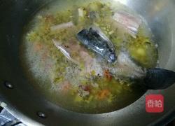 酸菜豆腐鱼的做法图解11