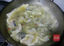 酸菜豆腐鱼的做法图解13