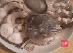 孔雀开屏的做法图解5