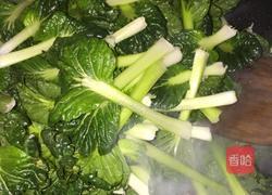 塔菜炒肉丝的做法图解6