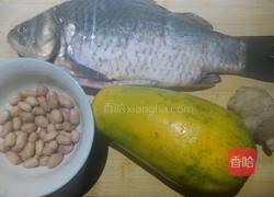 木瓜花生鲫鱼汤的做法图解1