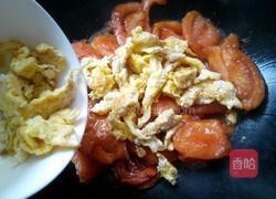 番茄炒蛋的做法图解5