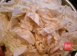 白菜粉条的做法图解2