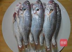 香煎黄花鱼的做法图解1