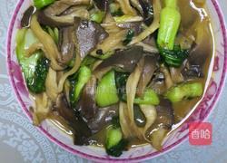 清炒蘑菇的做法图解4