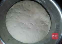 大肉包子的做法图解4