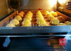 奶油泡芙的做法图解13