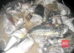 焖河豚（乖鱼）的做法图解6