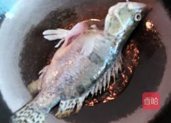 红烧桂花鱼的做法图解4