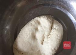 胡萝卜羊肉水饺的做法图解1