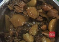 土豆焖鸡的做法图解4