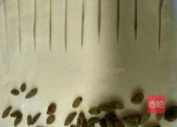 毛毛虫面包的做法图解7