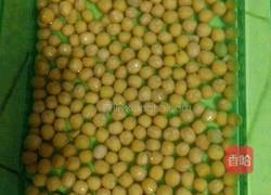 豌豆苗(自己培育的)的做法图解2