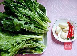 蒜蓉茼蒿的做法