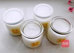 自制酸奶的做法图解6