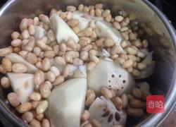 莲藕猪尾汤的做法图解5