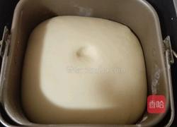 毛毛虫面包的做法图解4