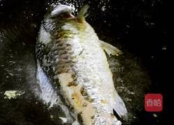 鲫鱼豆腐汤的做法图解3