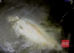 鲫鱼豆腐汤的做法图解7