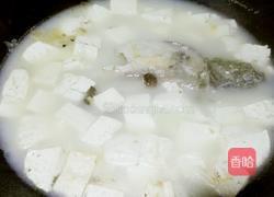 鲫鱼豆腐汤的做法图解12