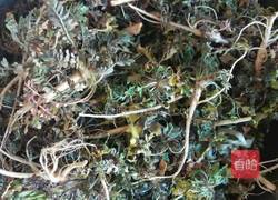 荠菜水饺的做法图解3