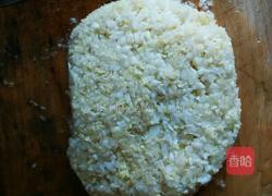 荠菜水饺的做法图解5