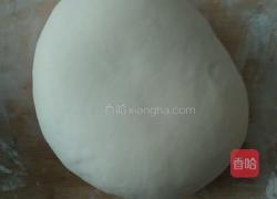 荠菜水饺的做法图解11