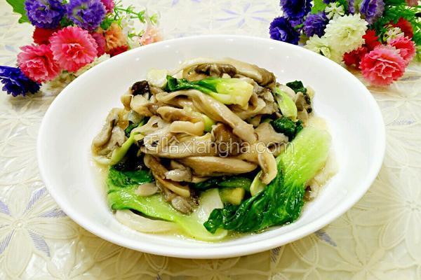 平菇炒小白菜