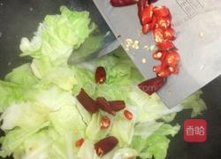 酸辣手撕包菜的做法图解5